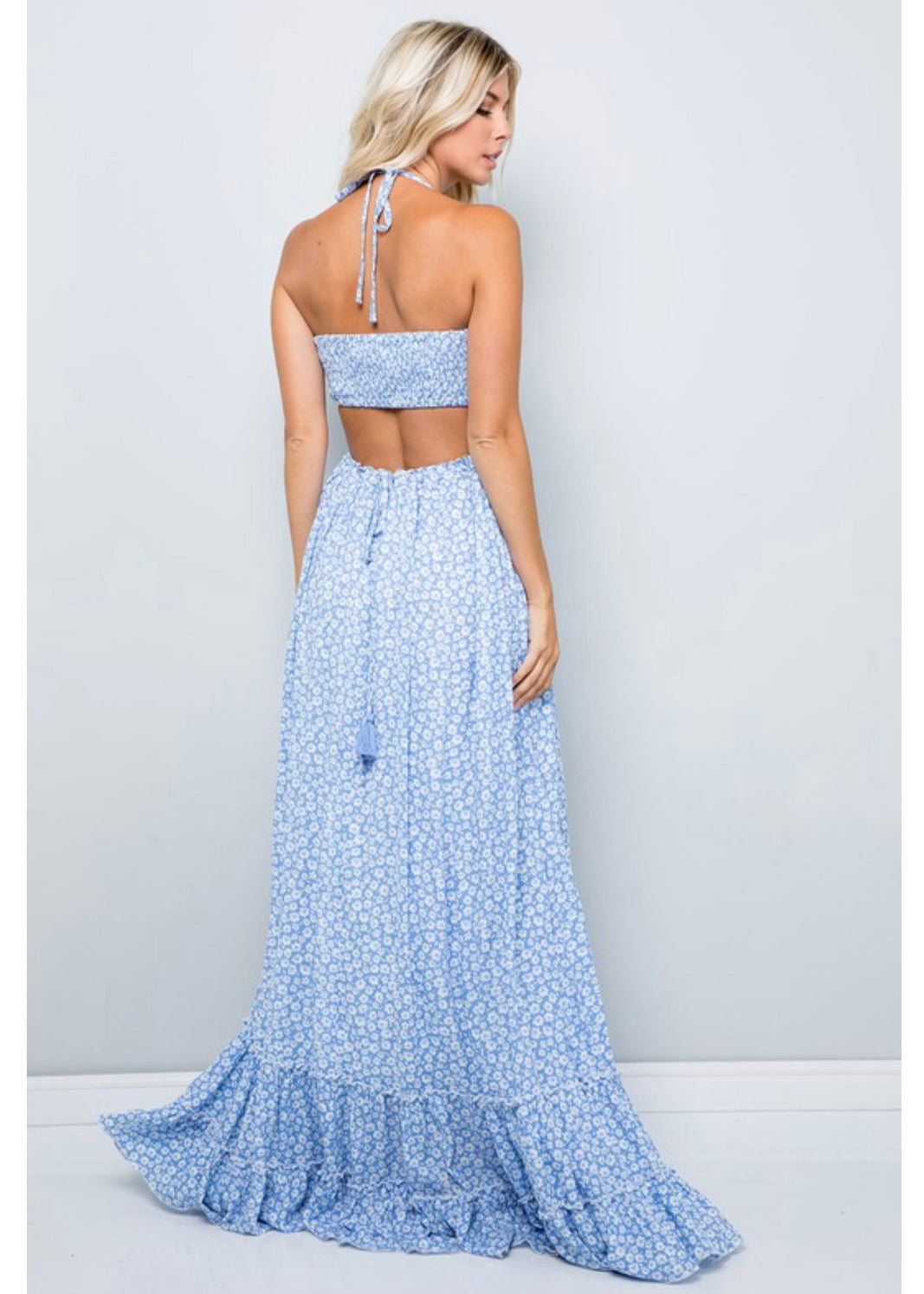 Maxi Dress- The Meadow pale blue dress